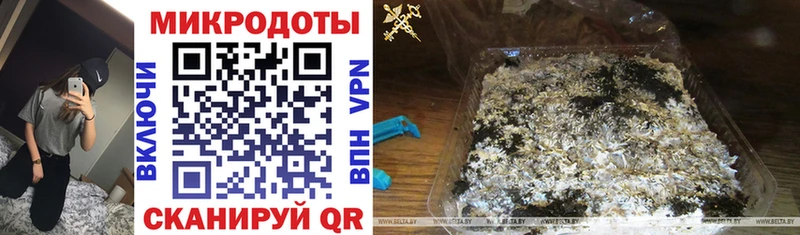 Галлюциногенные грибы Magic Shrooms Махачкала